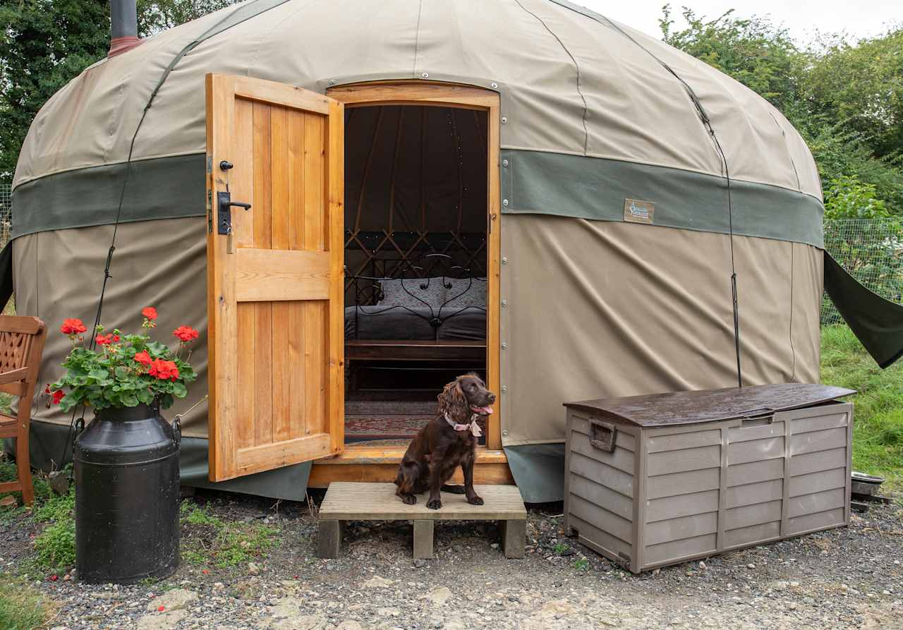 Campden Yurts, Glamping, Cotswolds