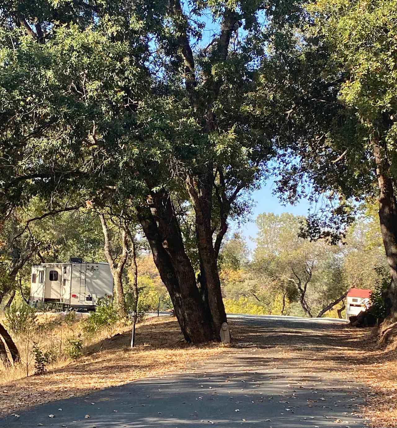 gold country camping