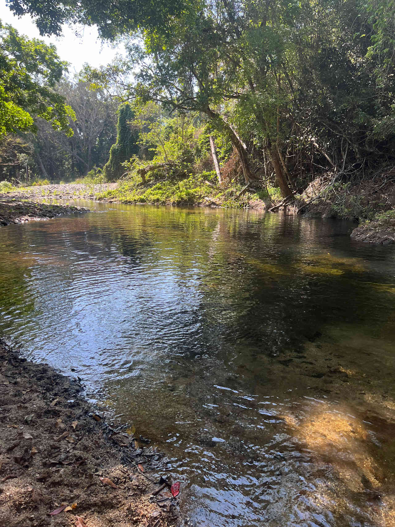 Little Mulgrave Holiday Camping