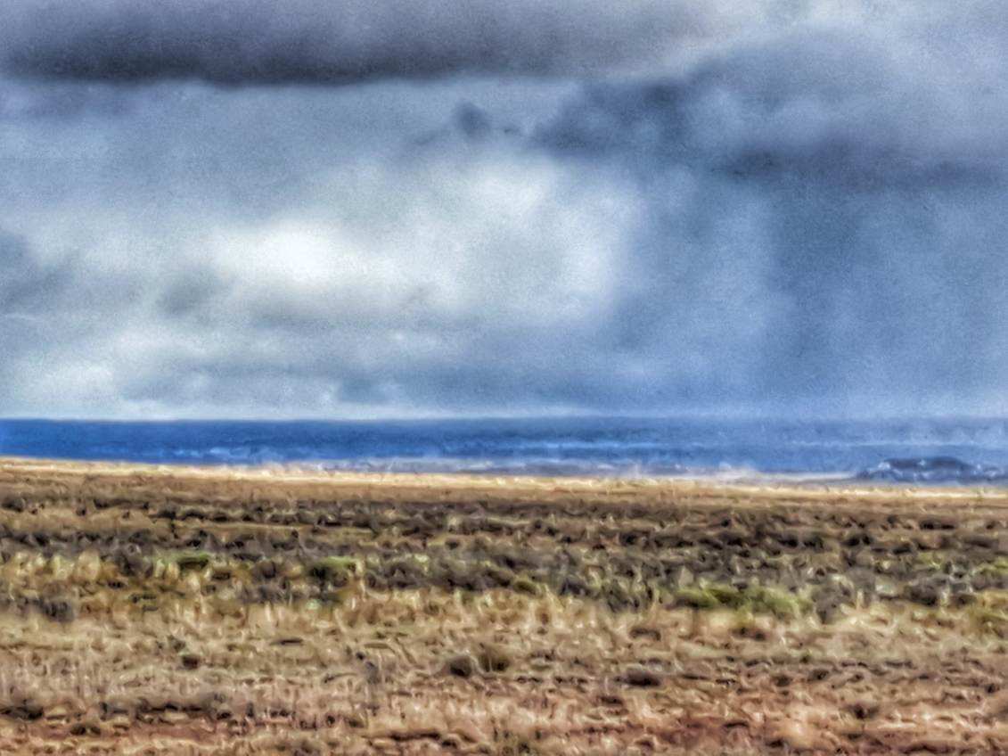 Petrified forest hideaway