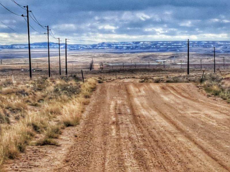 Petrified forest hideaway