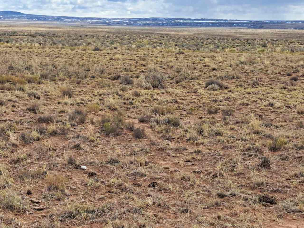 Petrified forest hideaway