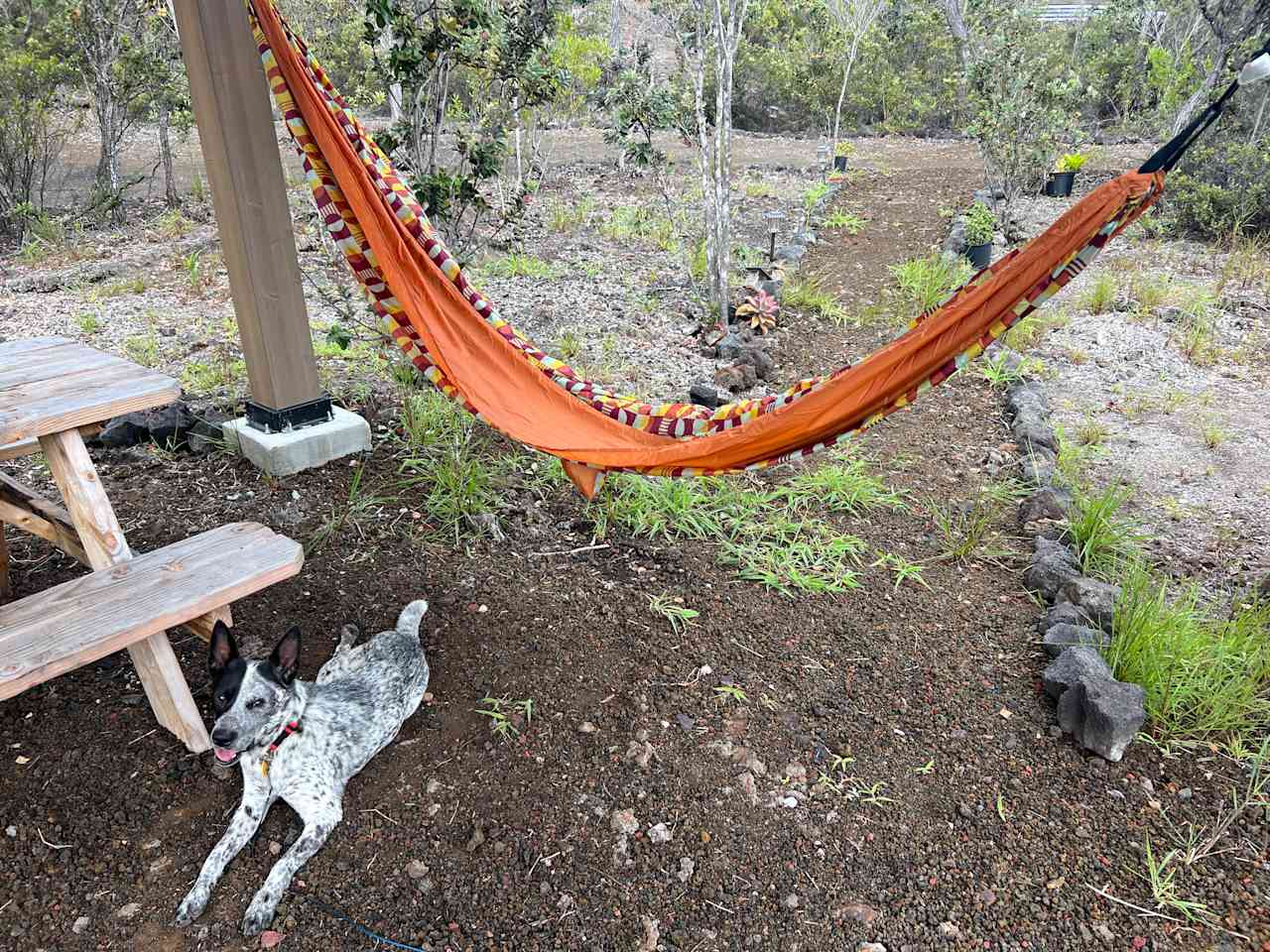 Captain Cooks Lava Tube Camp/cabins