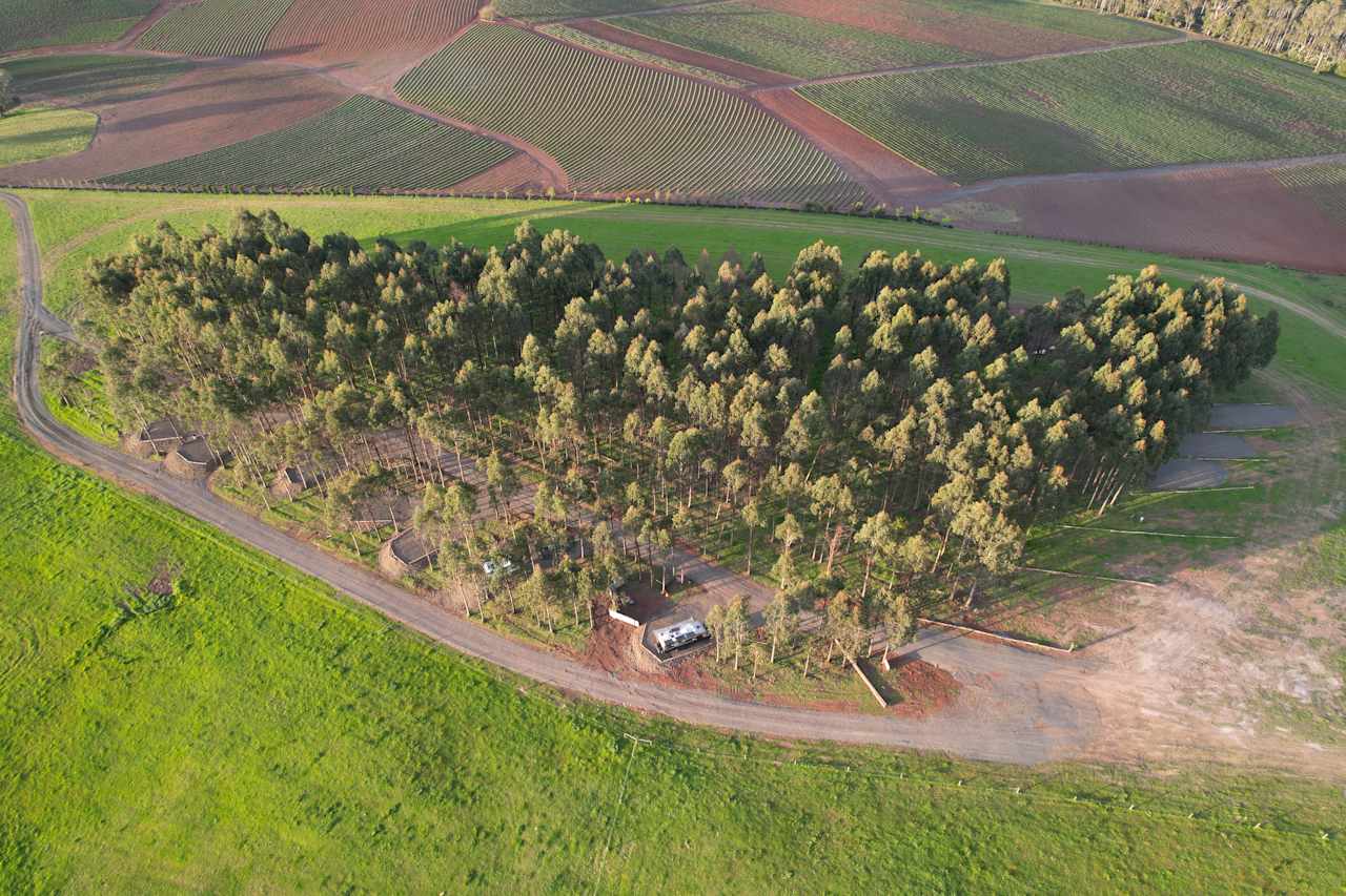 Mabel's Paddock RV Farm Stay