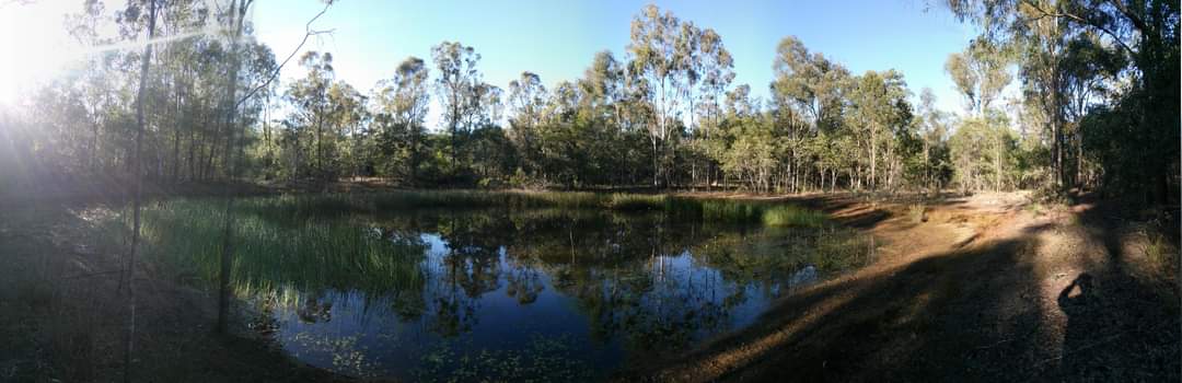 Brad's Bush Block ( St Lawrence)