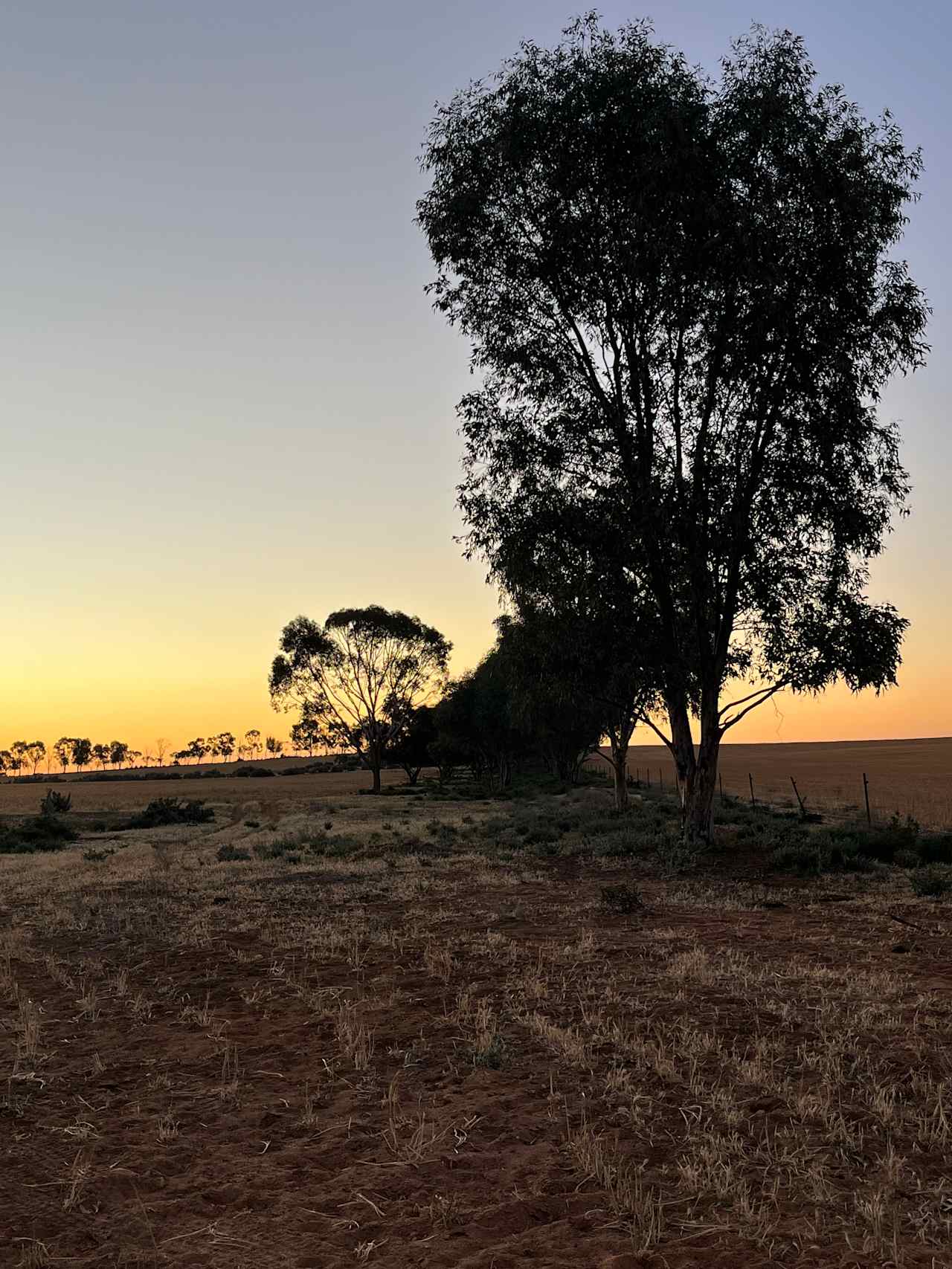 Brady Farm, Nandaly