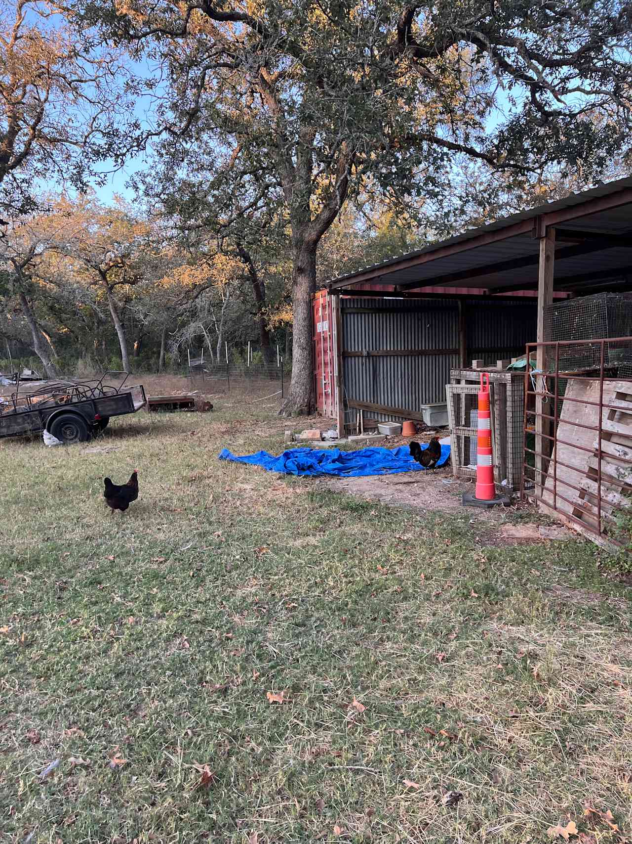 Sandy Grove Ranch