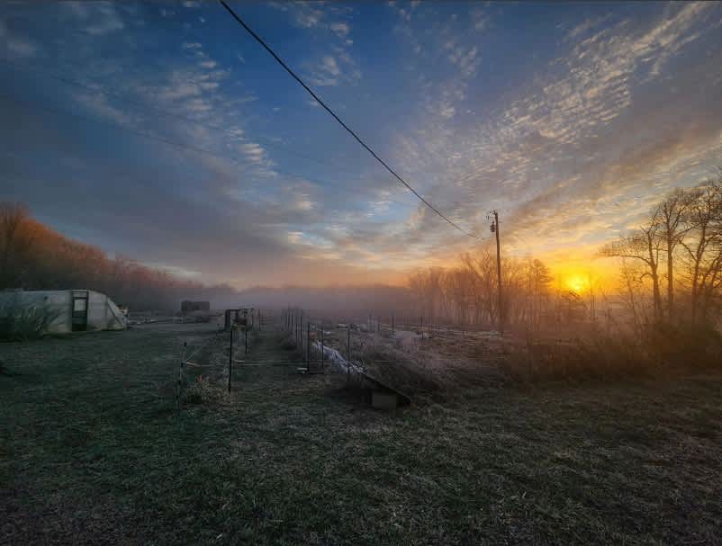 Bird Fork Farm