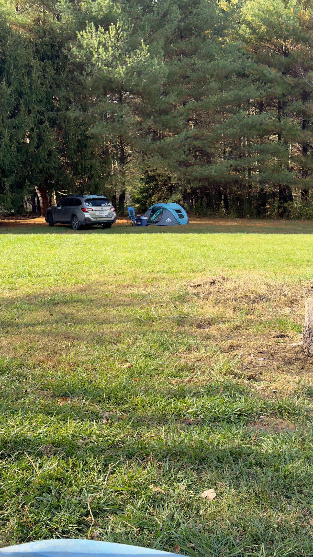 Set up camp where you want. 40 acres. 