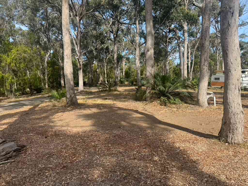 Ironbark Bermagui