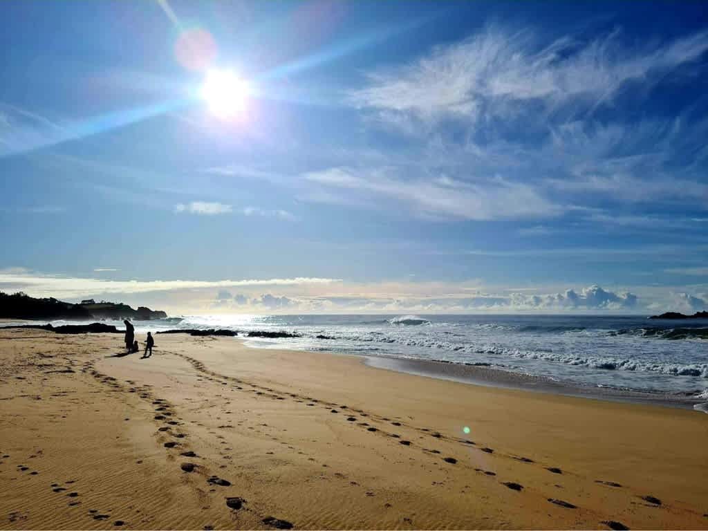 Ironbark Bermagui