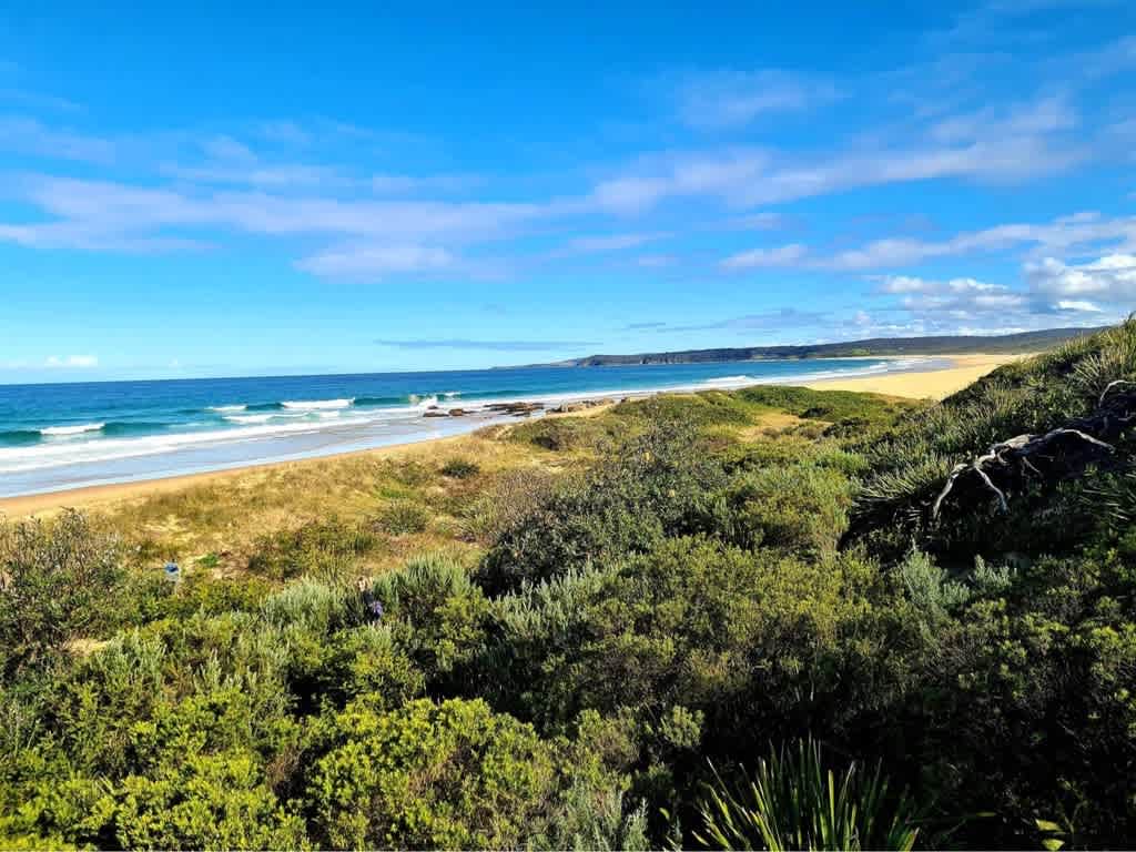 Ironbark Bermagui