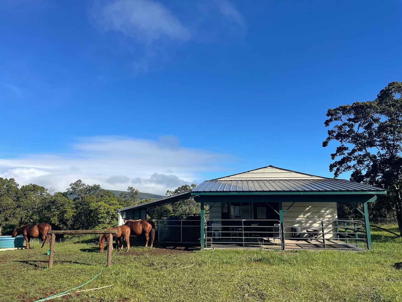 The barn