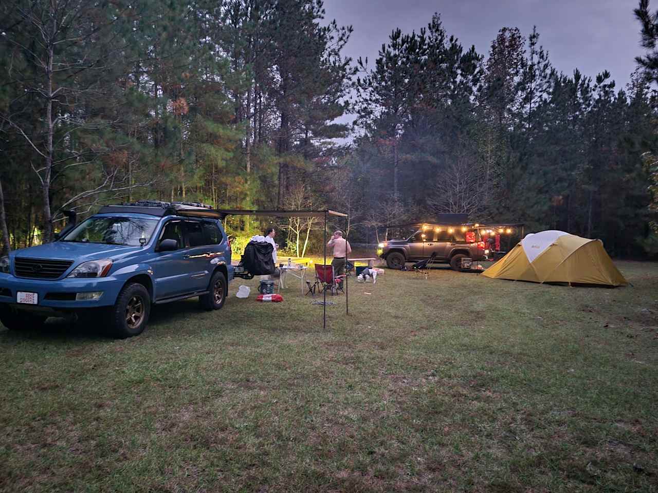 Pine And Oak Campsite