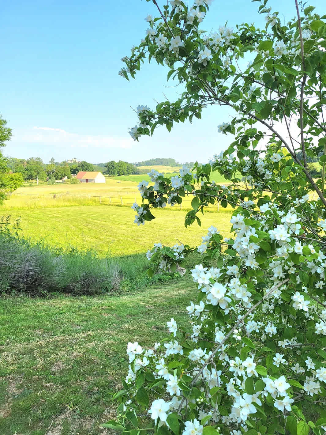 Domaine Les Voisins