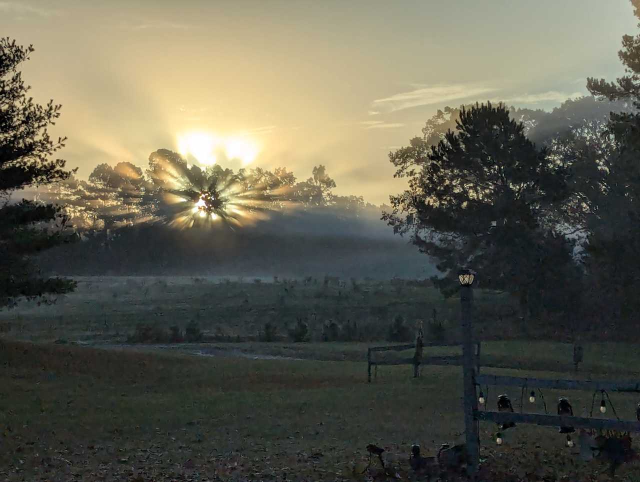 Sunrise through fog