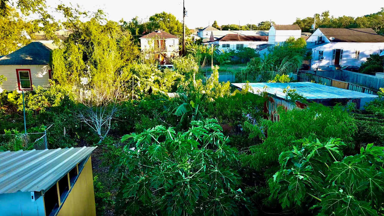 Grow On Urban Farm