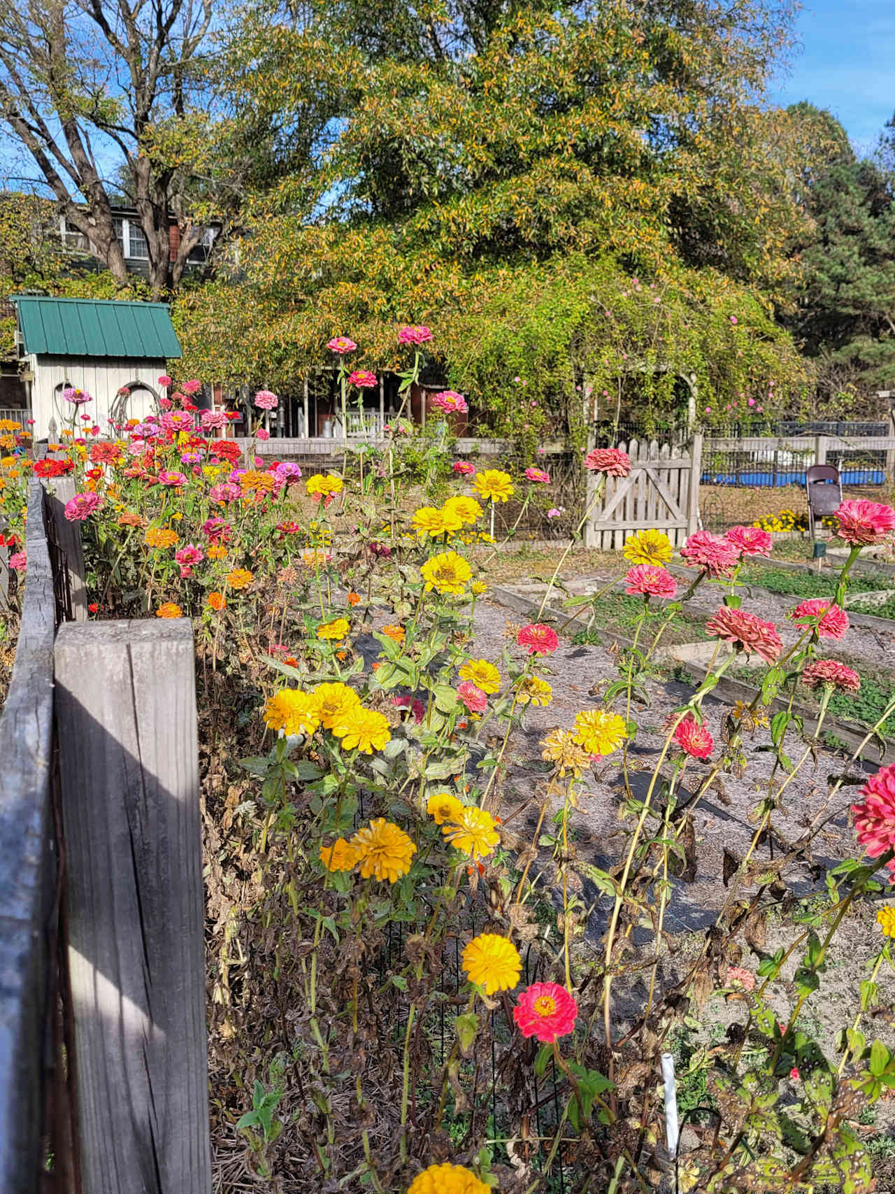 Peace Hill Farm