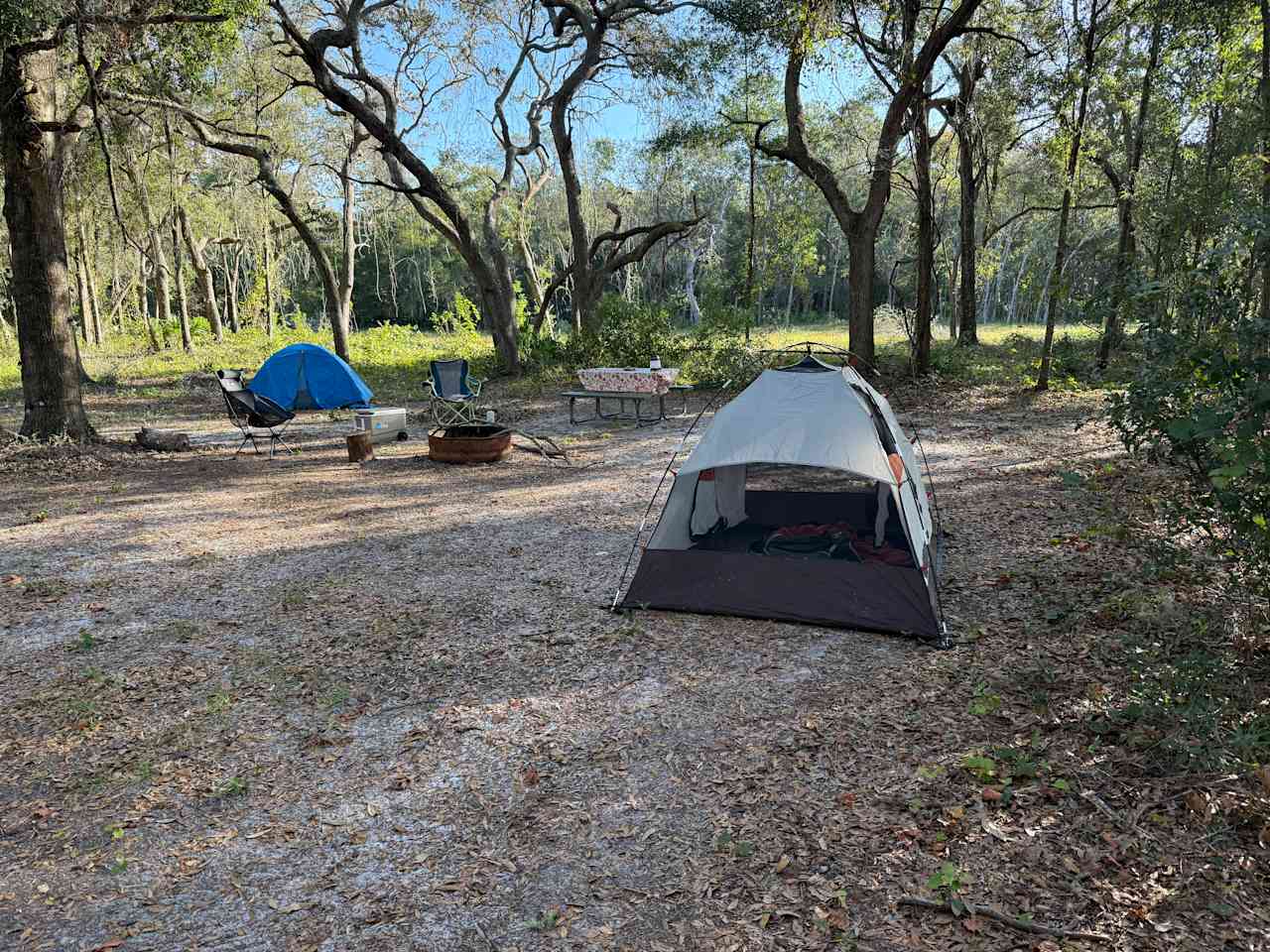Nature's hug camping