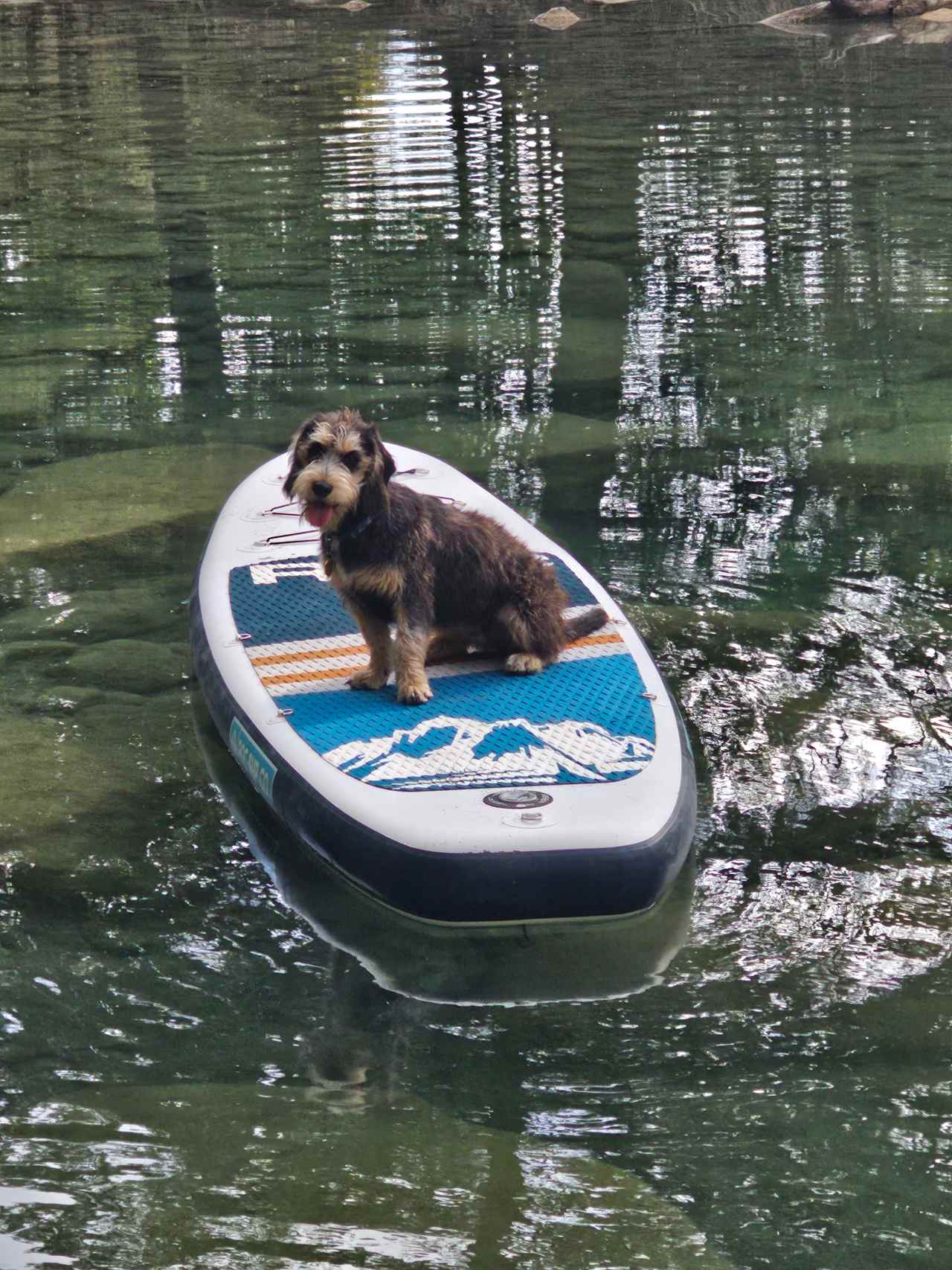 Riverbend On The Frio