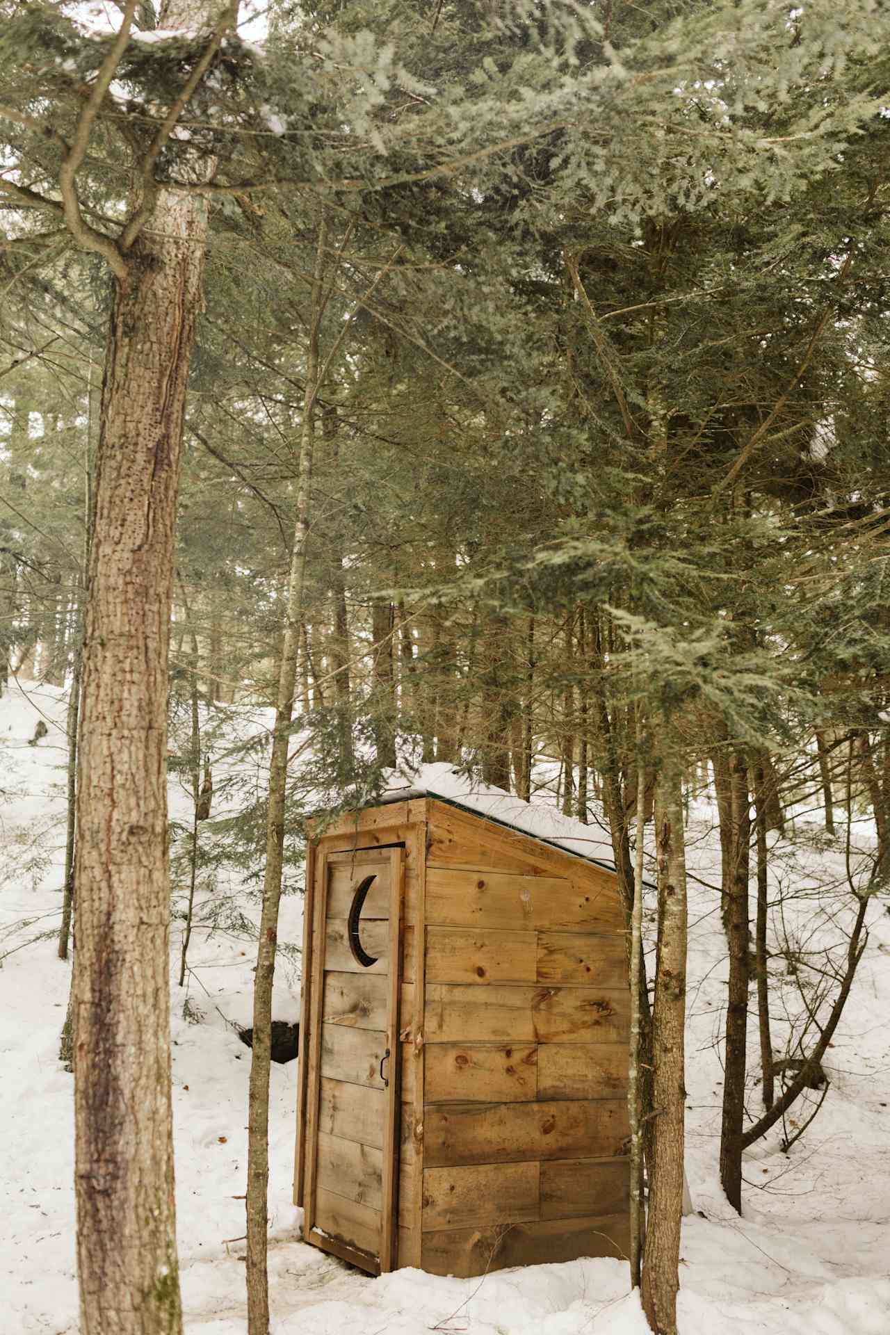 Backwoods Cabins