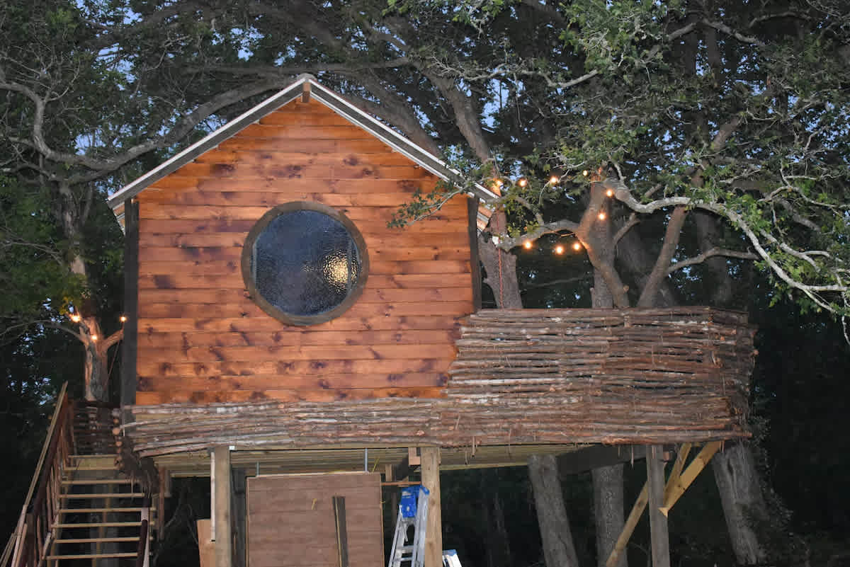 Pine Cone Treehouse