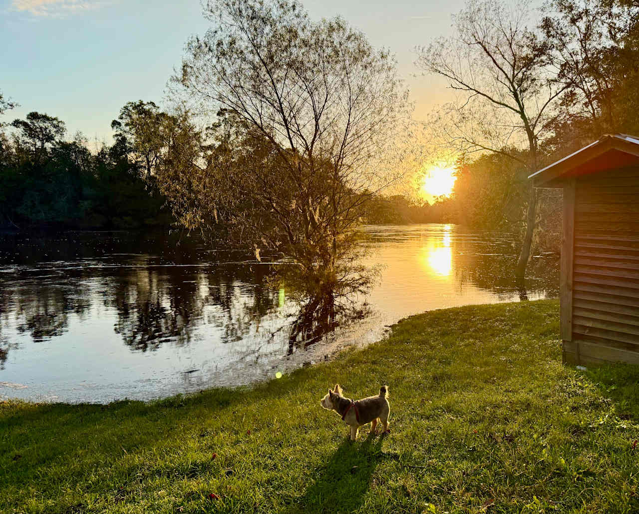 Sunrise on the Savannah