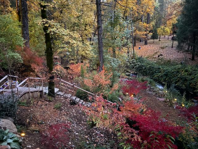 Creekside Zen Writer's Cabin