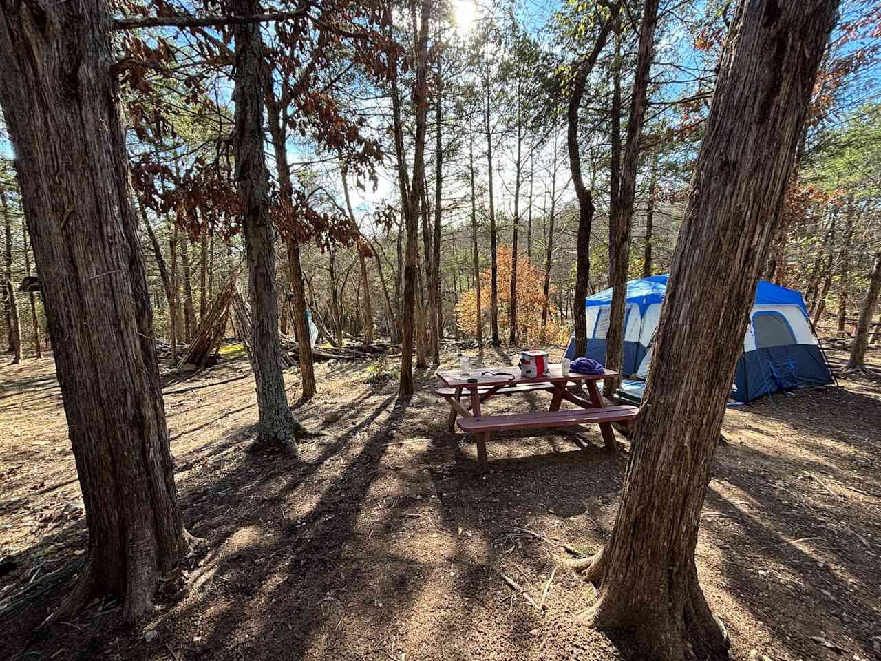 The Farm Campground and events
