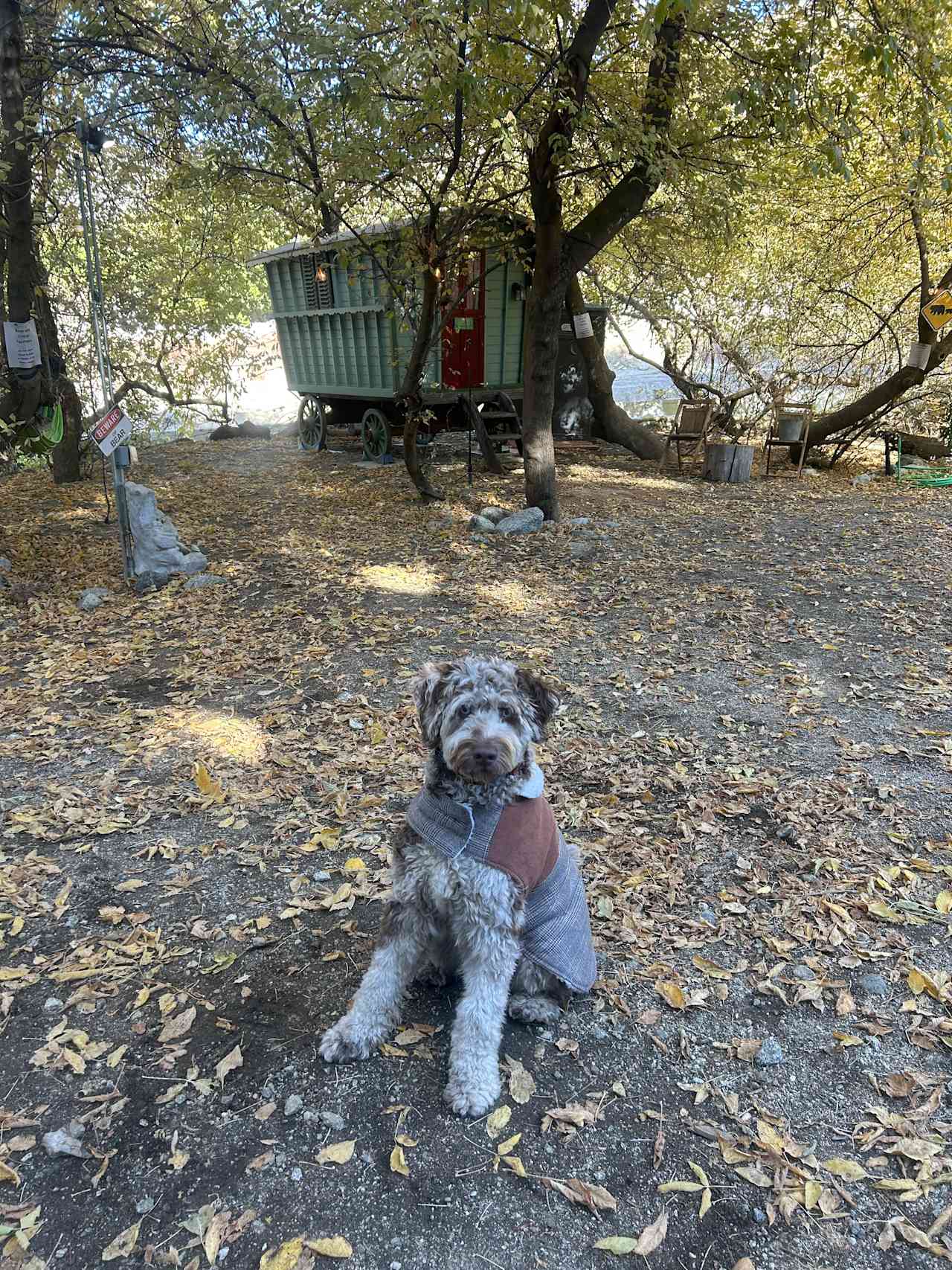 Oak Glen Glamping on Apple Orchard