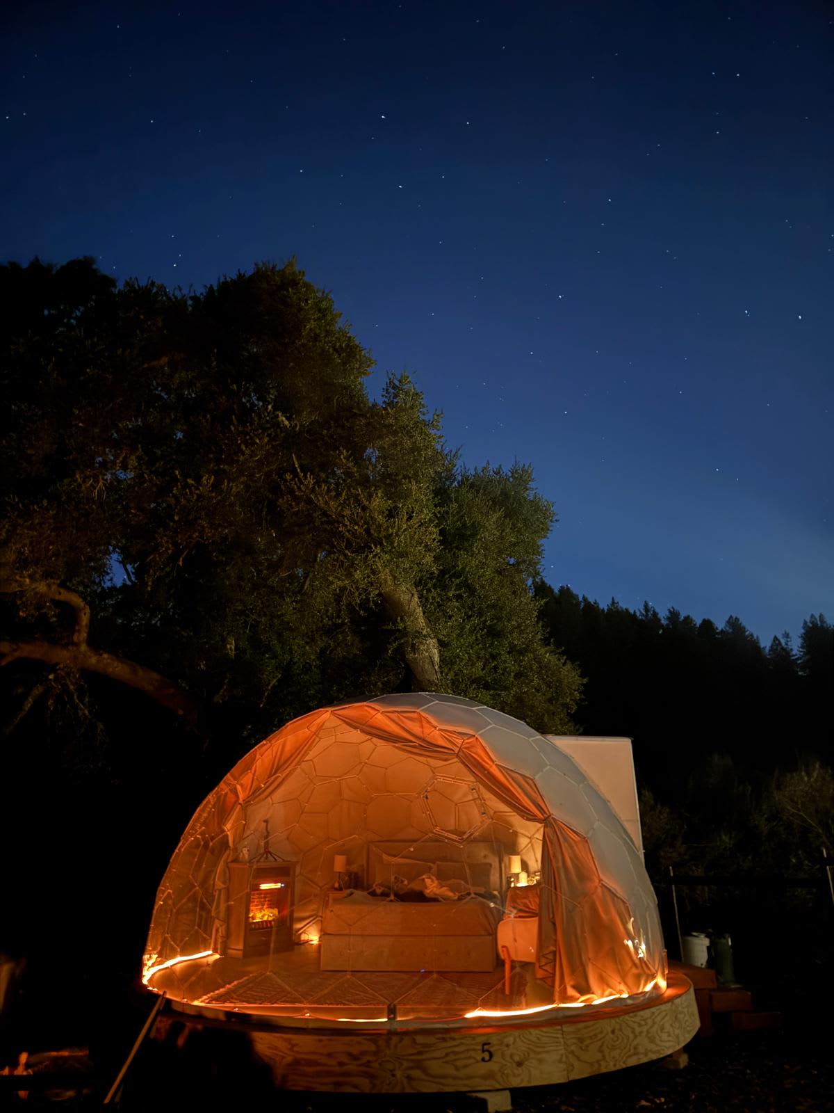 Hilltop Vineyard Dome Glamping