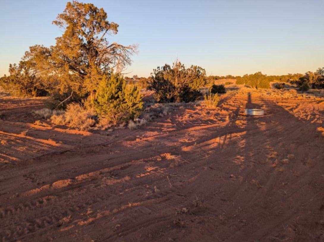 Grand Canyon Basecamp