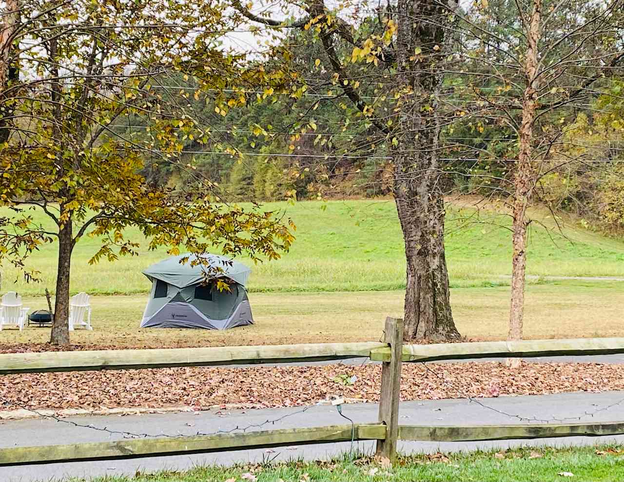 Perfect area for tent camping. 