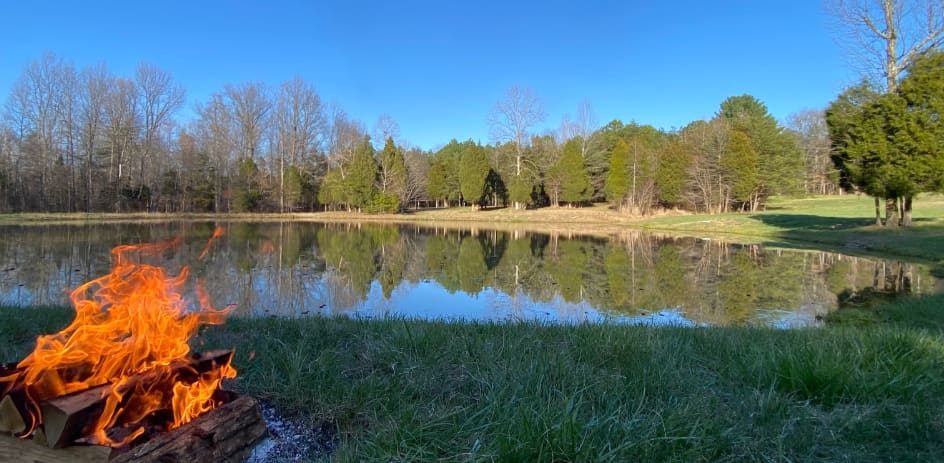 Nighthawk Forest Campground