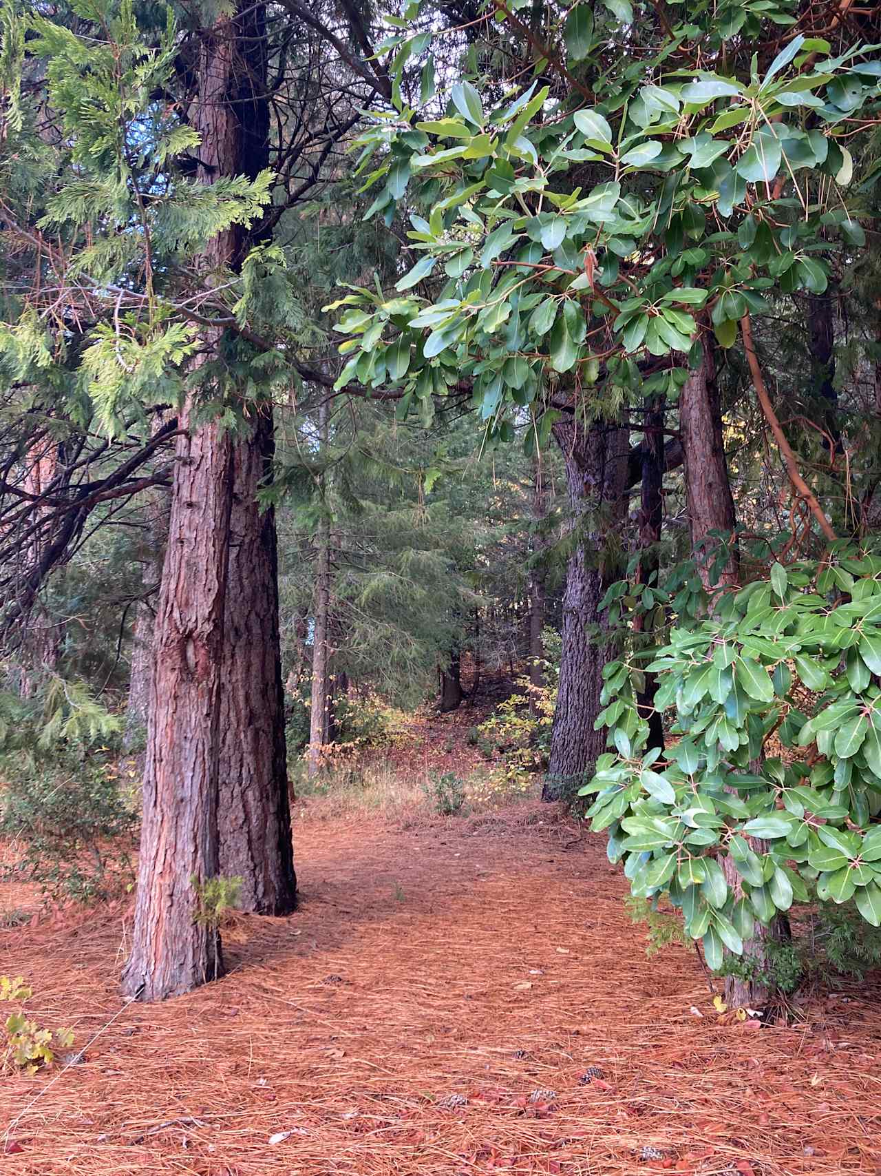 200-acre developing eco-preserv