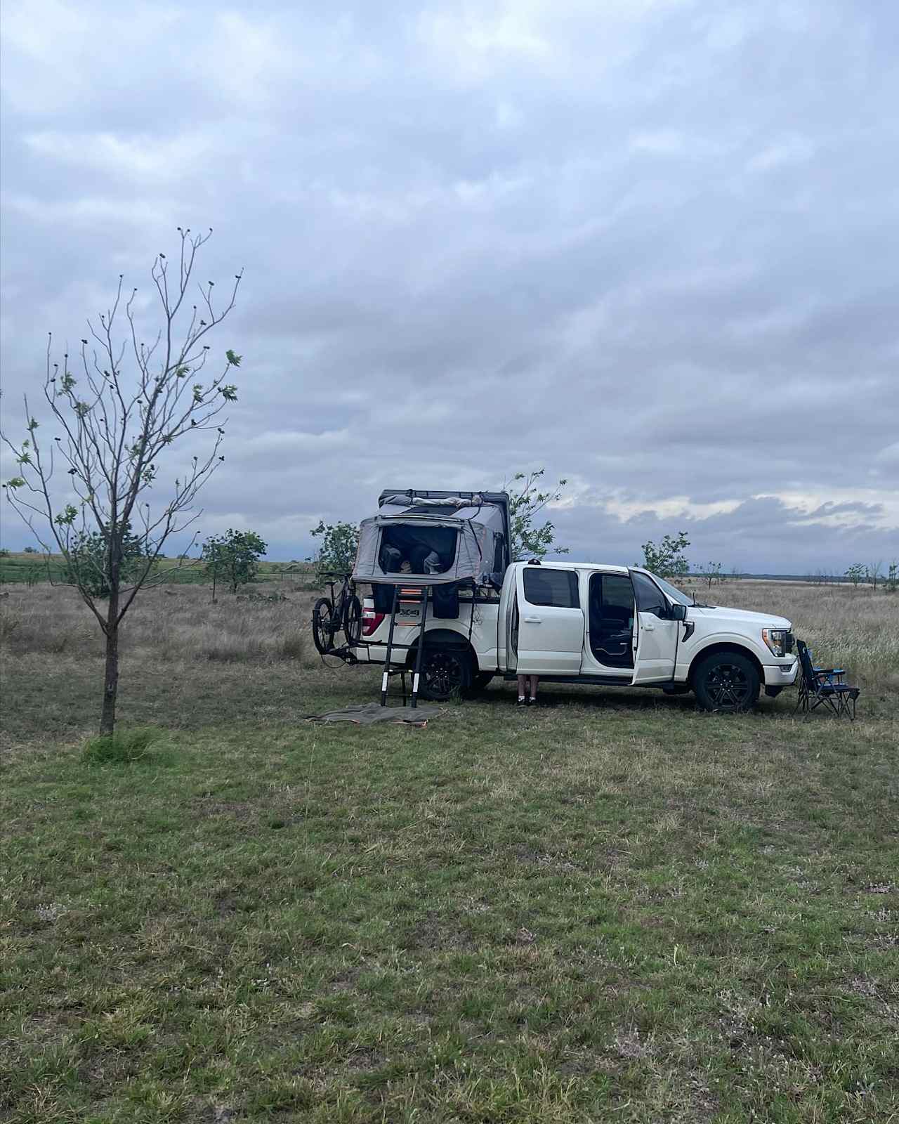 Pecan orchard