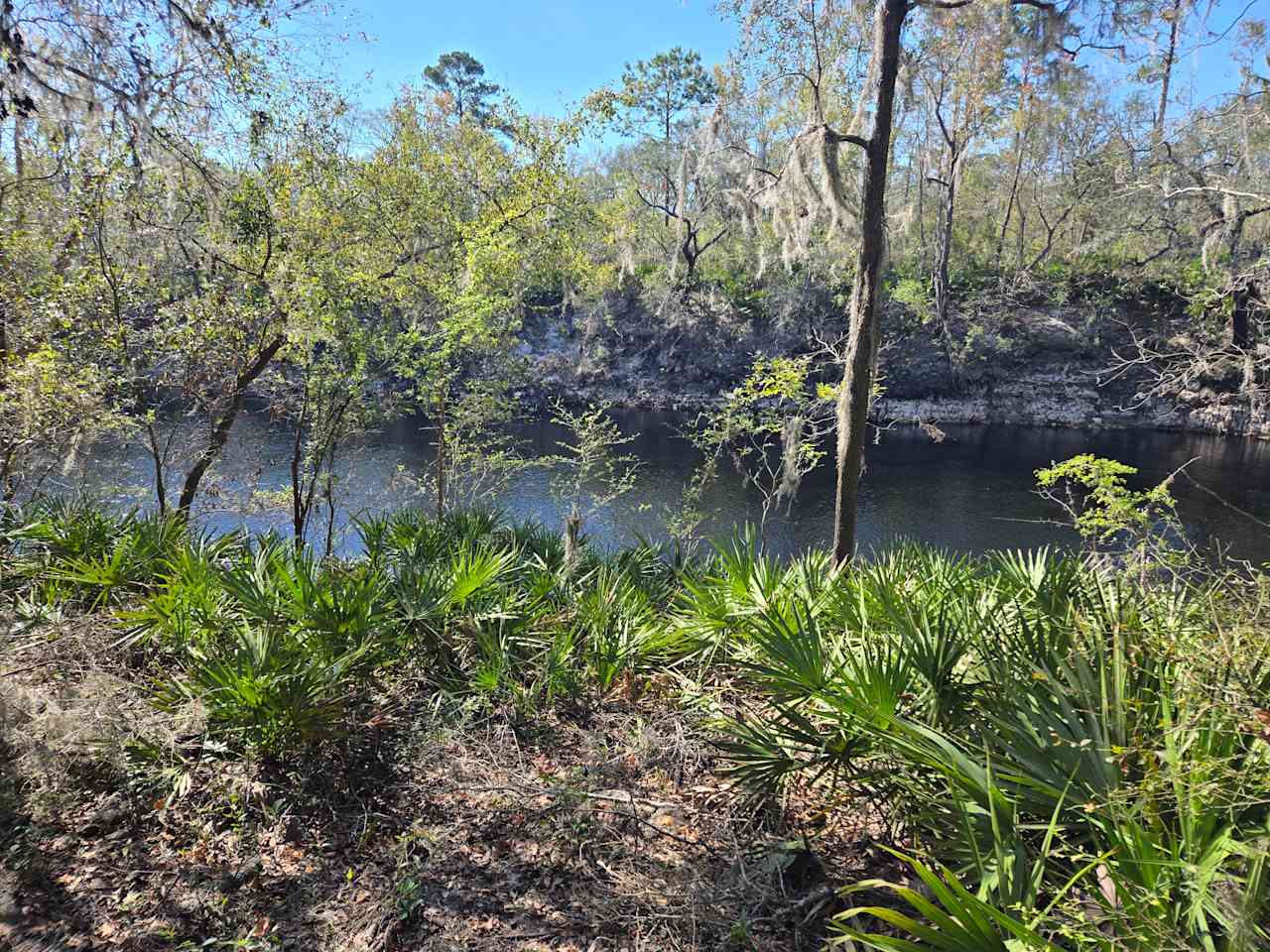 Suwannee River Glamping