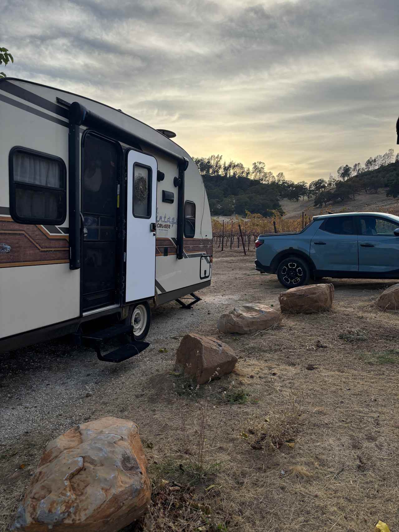 Vineyard Camping at Bad Rat Ranch