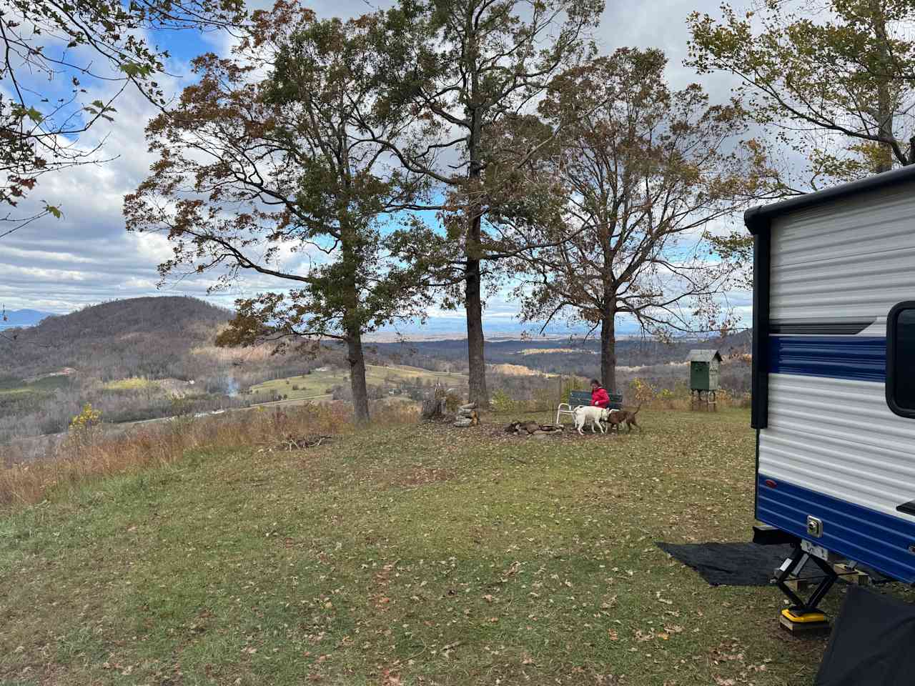 Bolin Knob Meadows