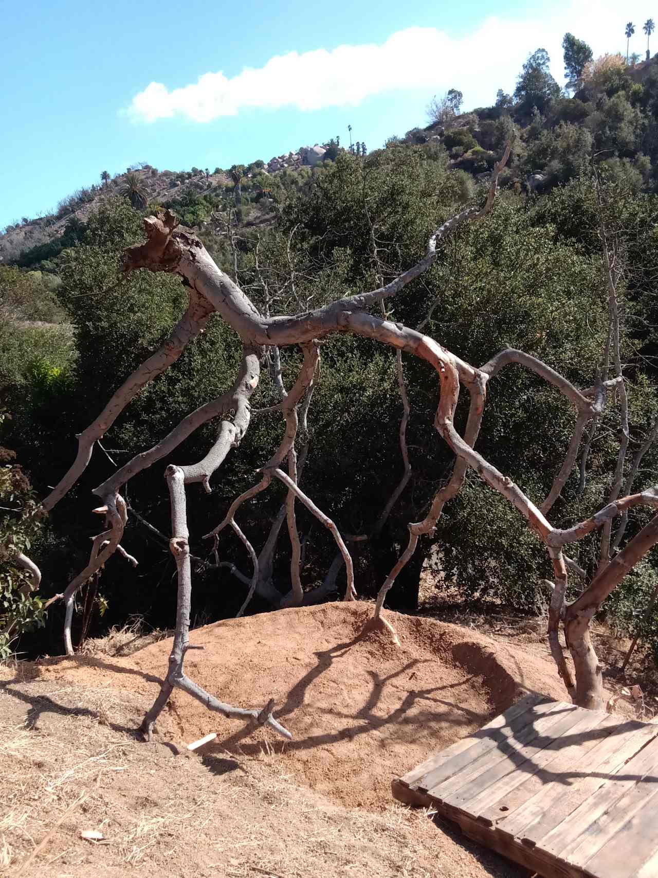 Detour n De Luz Fallbrook San Diego
