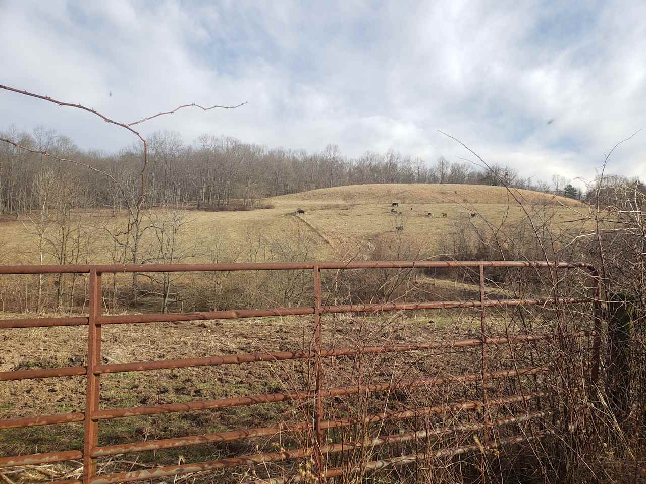 Salem Springs at Dexter Run Farms