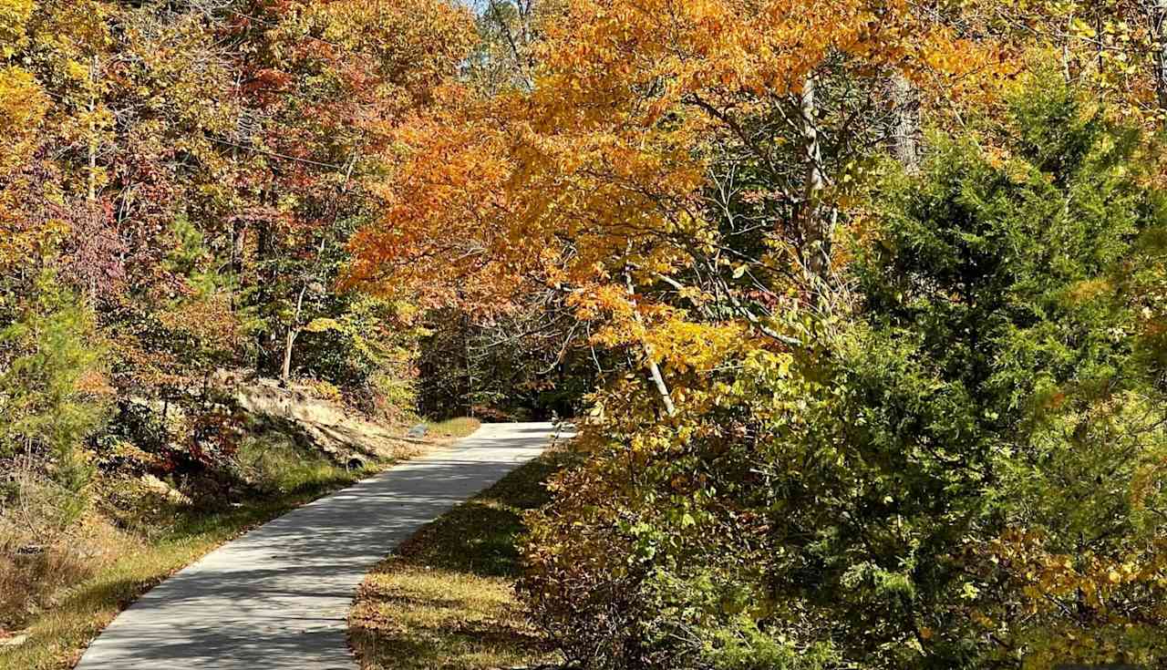 Rose Hollow Cabins