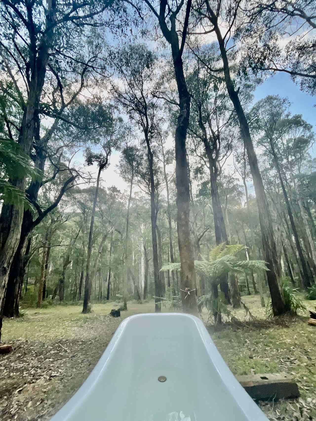 Bell Tent in Forest Near River