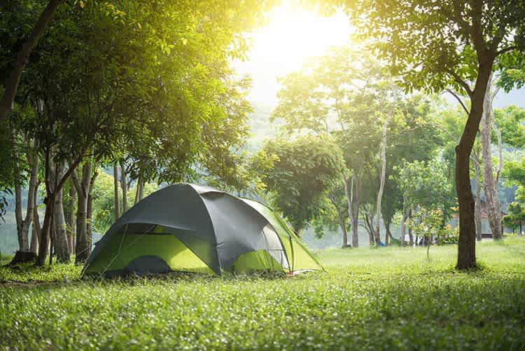 Rebecca Creek Campgrounds and RV Park