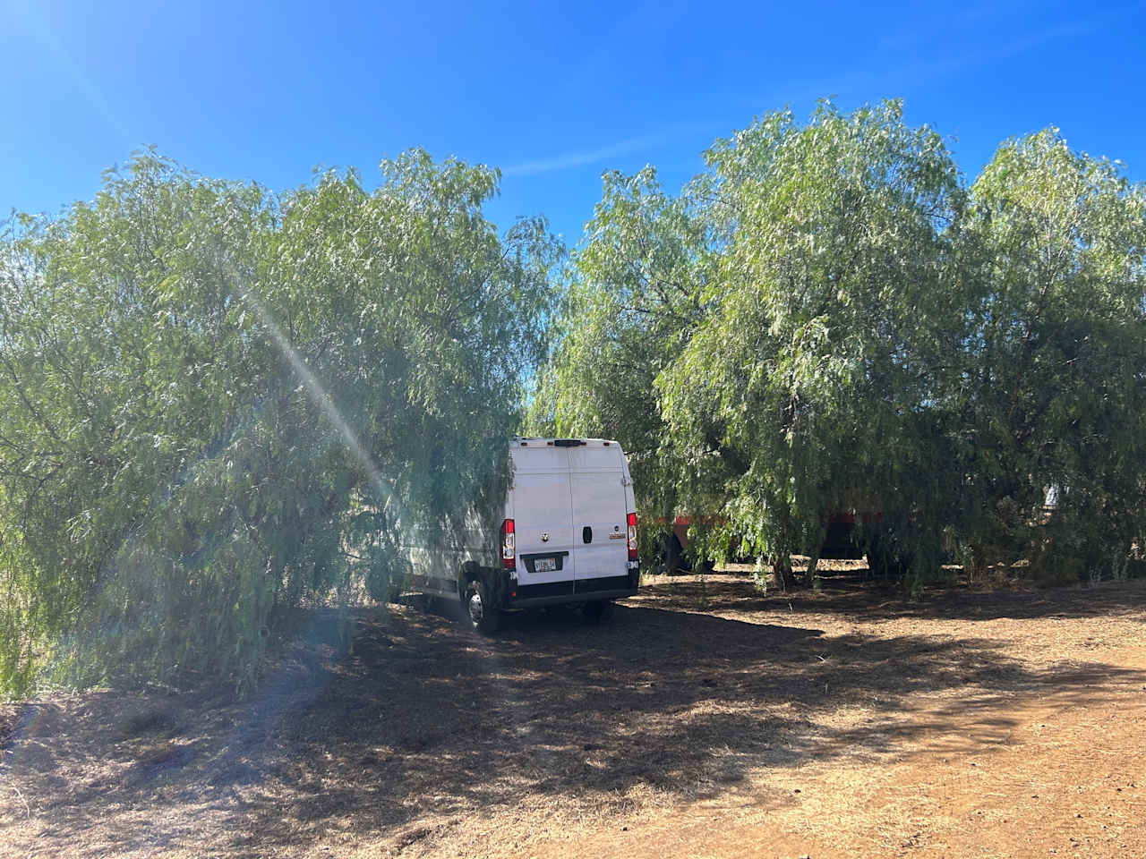 Wild Seeds Ranch
