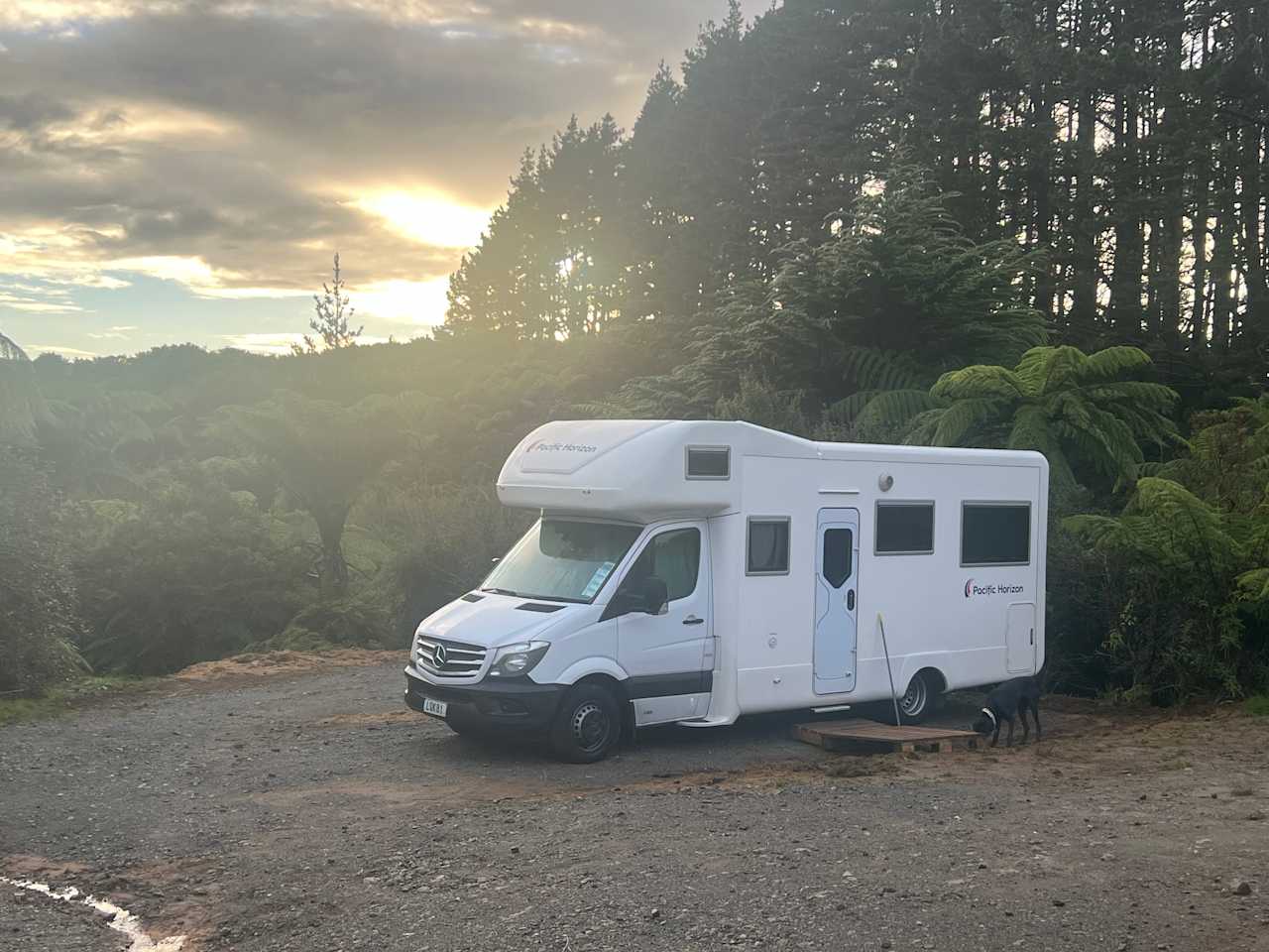 Camp in nature close to Hobbiton