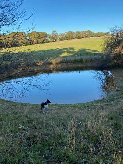 Marsh Camping