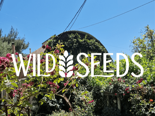 Wild Seeds Ranch