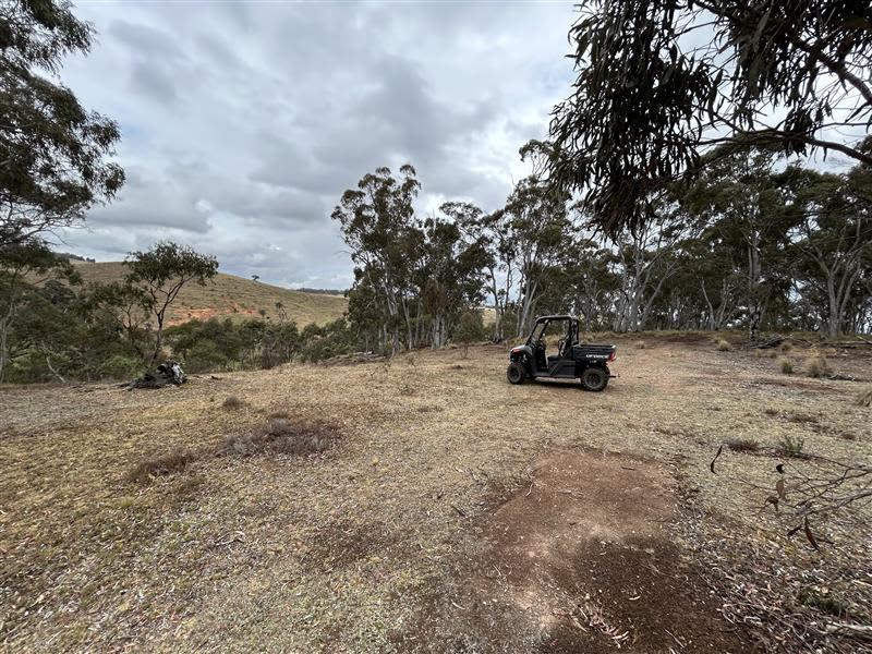 Wamboin Bushland Camp