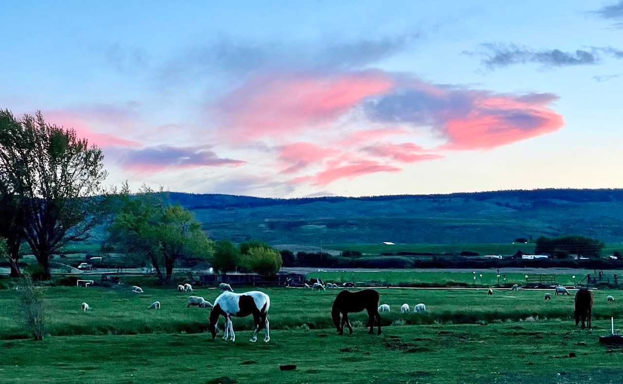 Windy Basin Ranch Camp